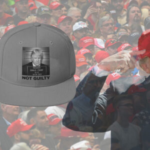 Official Trump Mugshot Gray Hat