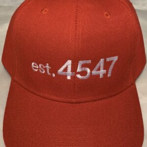 AMERICA GREAT AGAIN 45 47 Hat