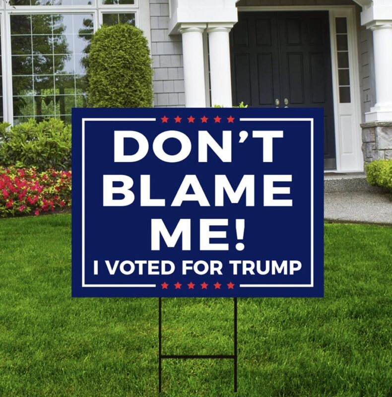 Don't Blame Me I Voted for Trump 2024 Yard Sign - Trump 2024