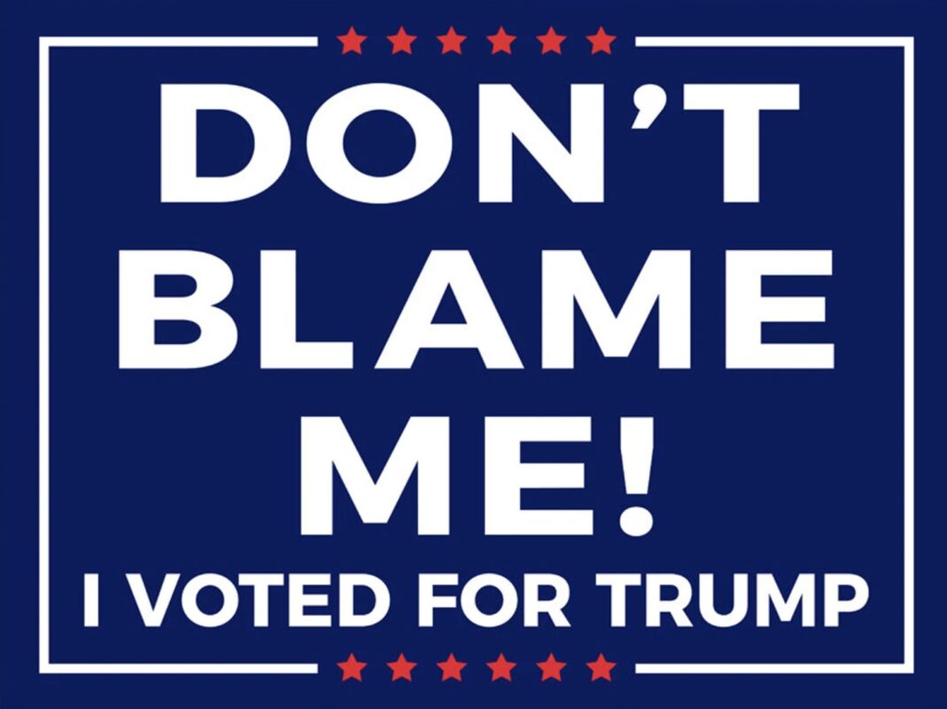 Don't Blame Me I Voted for Trump 2024 Yard Sign - Trump 2024