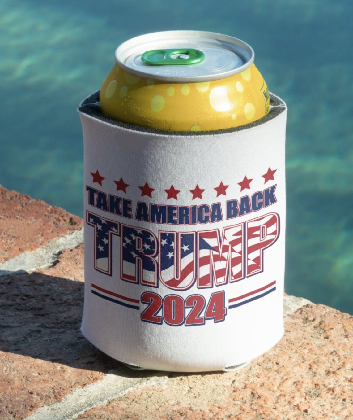 TRUMP-2024 Take America Back Can Coolers