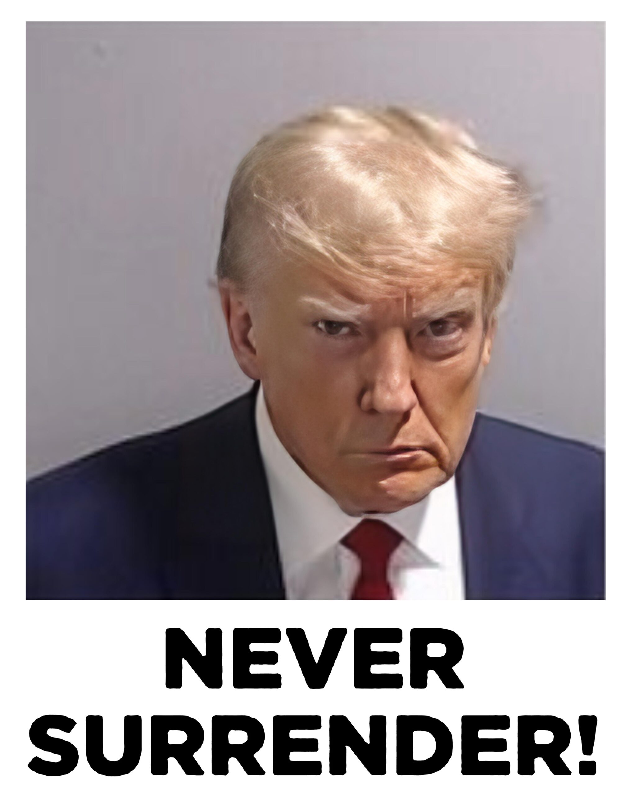 Trump 2024 Never Surrender Signed Poster