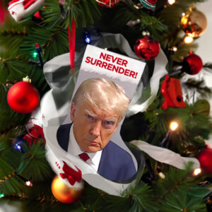 Trump Never Surrender Christmas Stockings