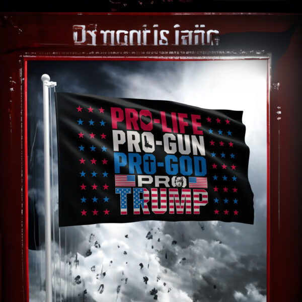 Pro Life, Pro Gun, Pro God, Pro Trump 2024 Flag