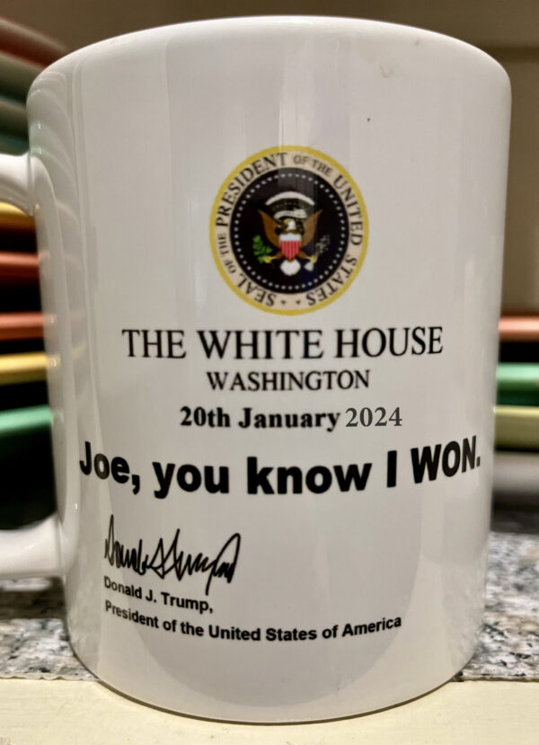 White House Washington 20th January 2024 Mug - Joe You Know I Won Mug