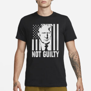 Trump Not Guilty Flag T-Shirt3