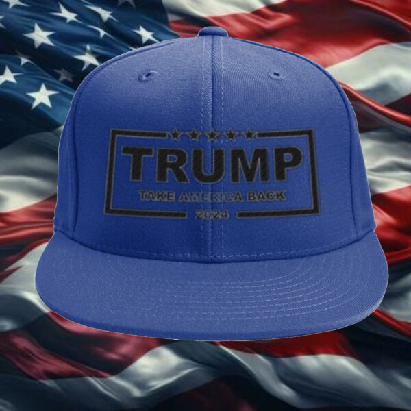 Trump Take America Back 2024 Hat